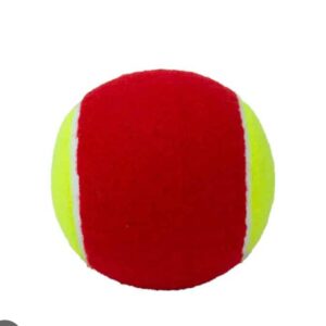 PELOTA DE TRANSICION ROJO