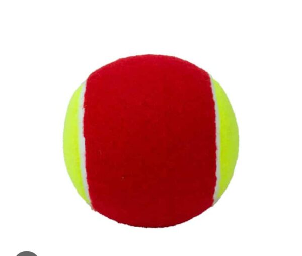 PELOTA DE TRANSICION ROJO